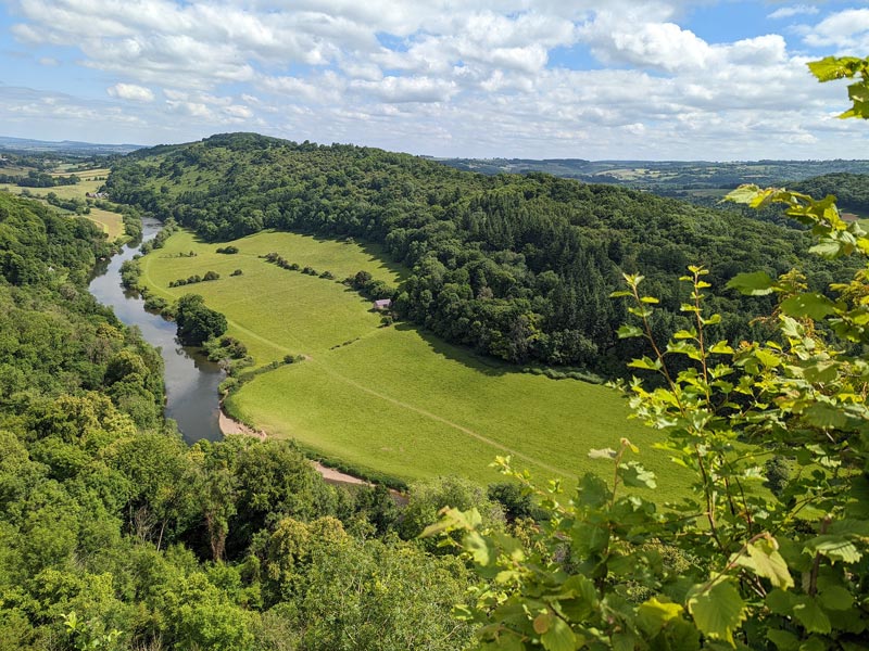 Forest of Dean Views<br />
